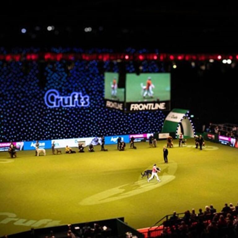 Crufts